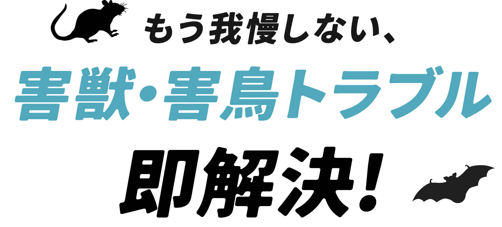 もう我慢しない、害獣・害鳥トラブル即解決！