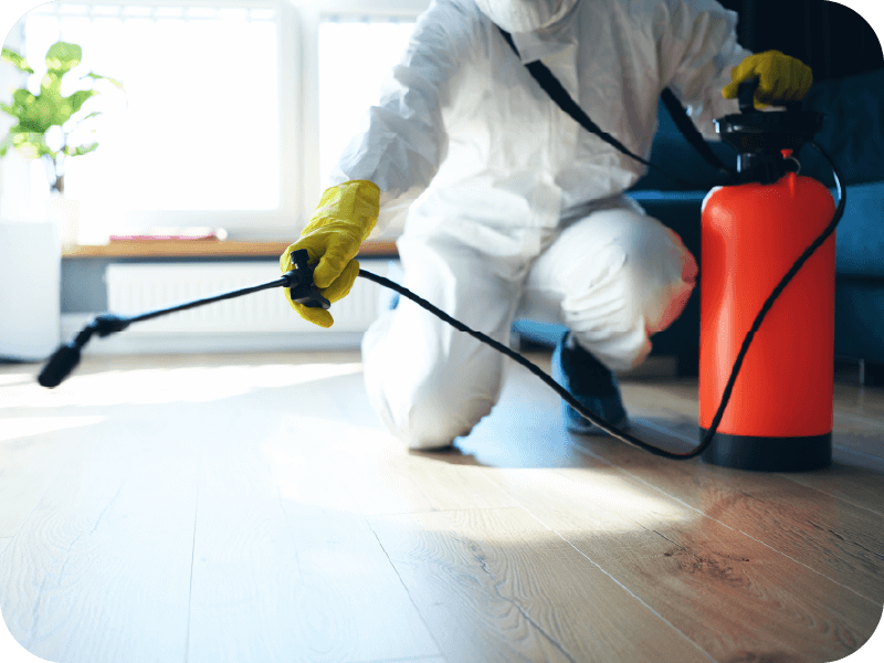 殺菌・消毒・清掃のイメージ画像